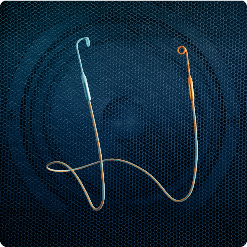 Loop x Coachella Link - Image 6